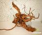 Preview: Filigrane Wurzel Fingerwood