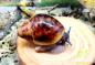 Preview: Große Achatschnecke " Archachatina marginata ovum XXL ,,