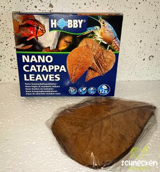 Nano Catappa Leaves Seemandelbaumblätter