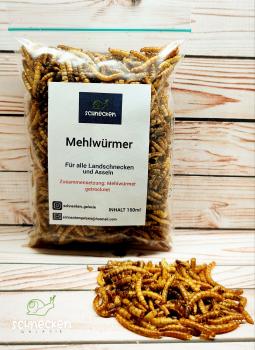 Mehlwürmer 150ml