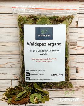 Waldspaziergang