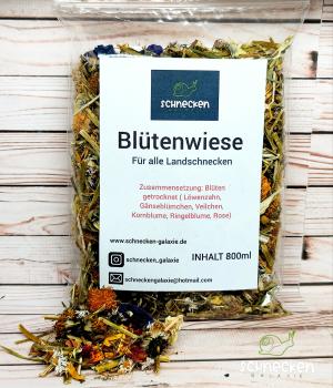 Blütenwiese