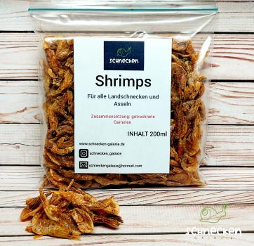 Shrimps