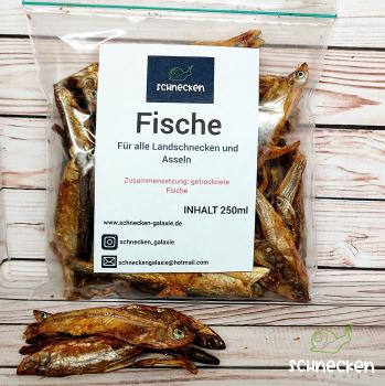 Fische getrocknet