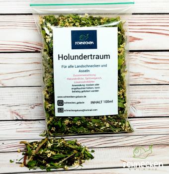 Holundertraum