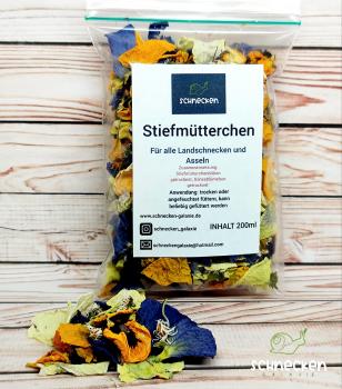 Stiefmütterchen