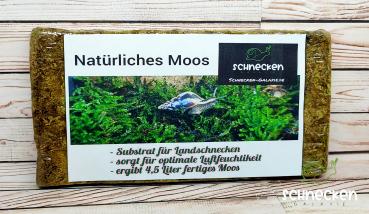 Natürliches Moos