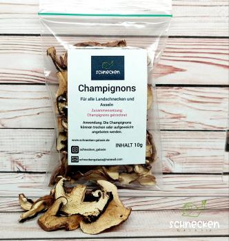 Champignons