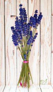 Lavendel