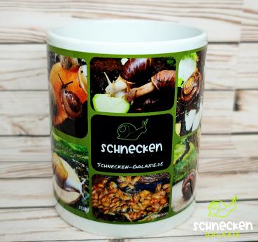 Tasse mit Schnecken und Asseln