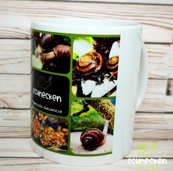Tasse mit Schnecken und Asseln