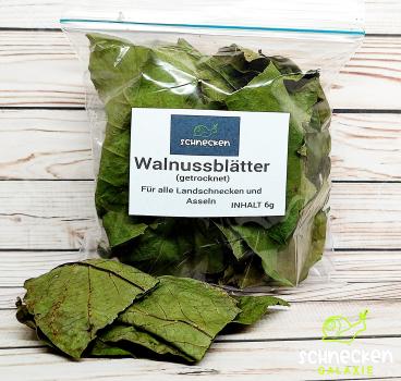 Walnussblätter