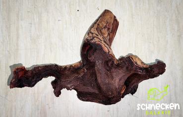 Mopani-Wurzel Größe S