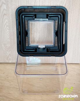 Fauna - Box  20 cm