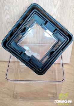 Fauna - Box  26 cm