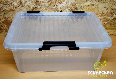 Box  39x29x17cm
