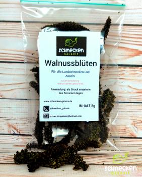 Walnussblüten