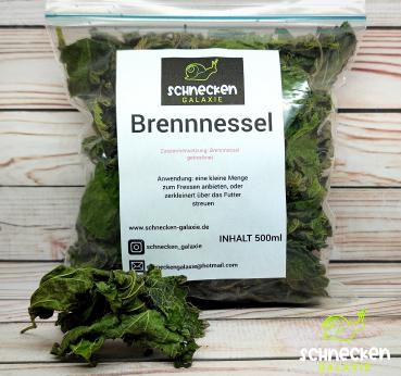 Brennnessel