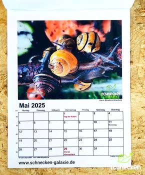 Schnecken Kalender 2025
