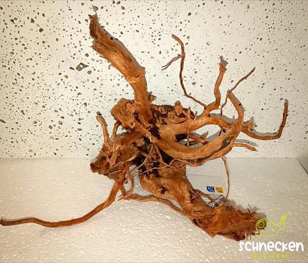 Filigrane Wurzel Fingerwood