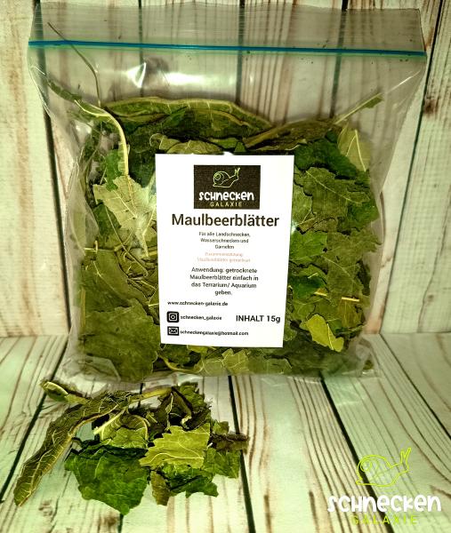 Maulbeerblätter