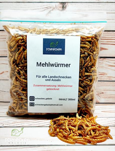 Mehlwürmer 300ml