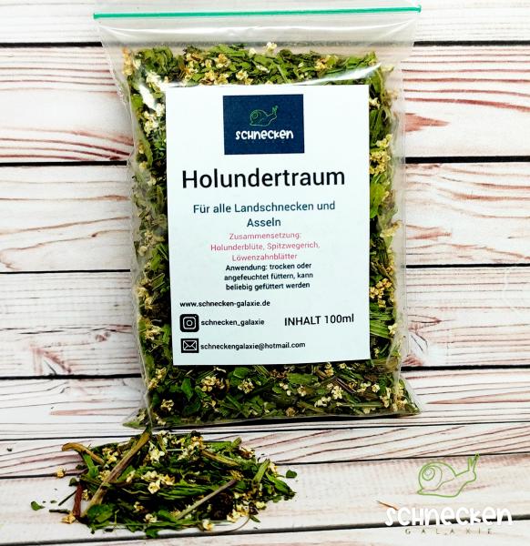 Holundertraum