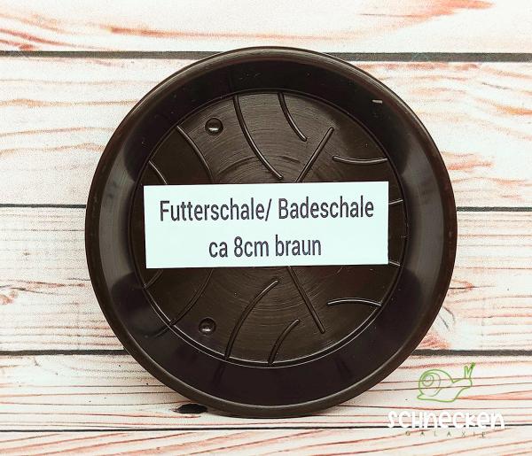 Kunststoff Badeschale/Futterschale 8 cm