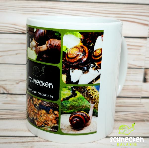 Tasse mit Schnecken und Asseln