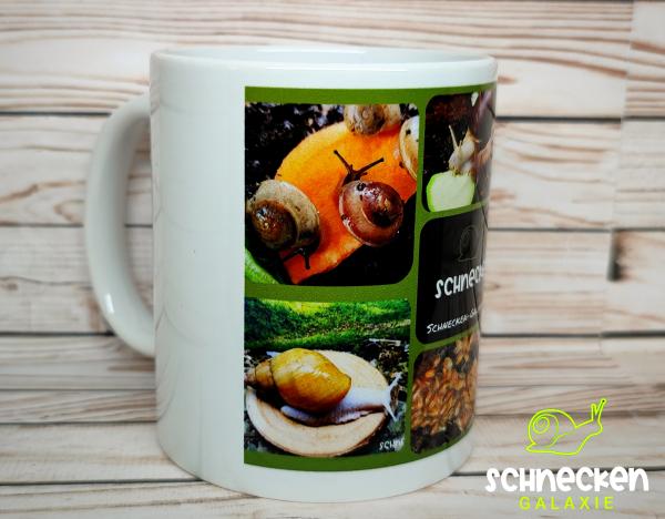 Tasse mit Schnecken und Asseln