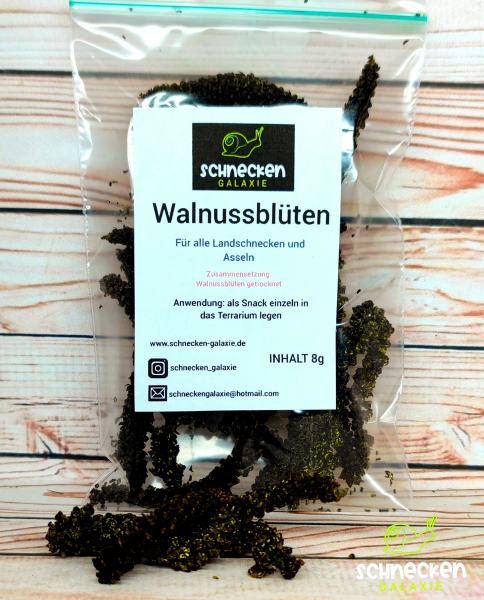 Walnussblüten