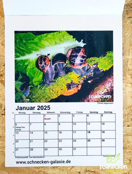 Schnecken Kalender 2025