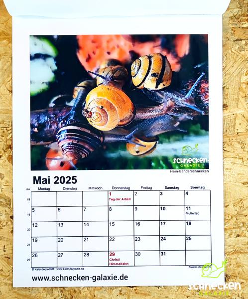 Schnecken Kalender 2025