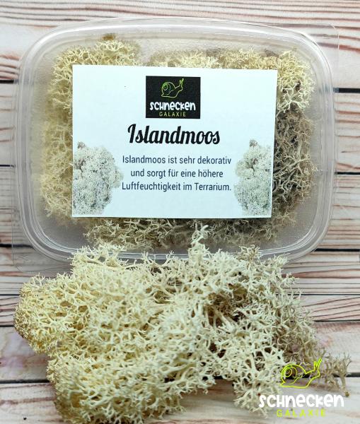 Islandmoos